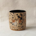 (second) X Cup